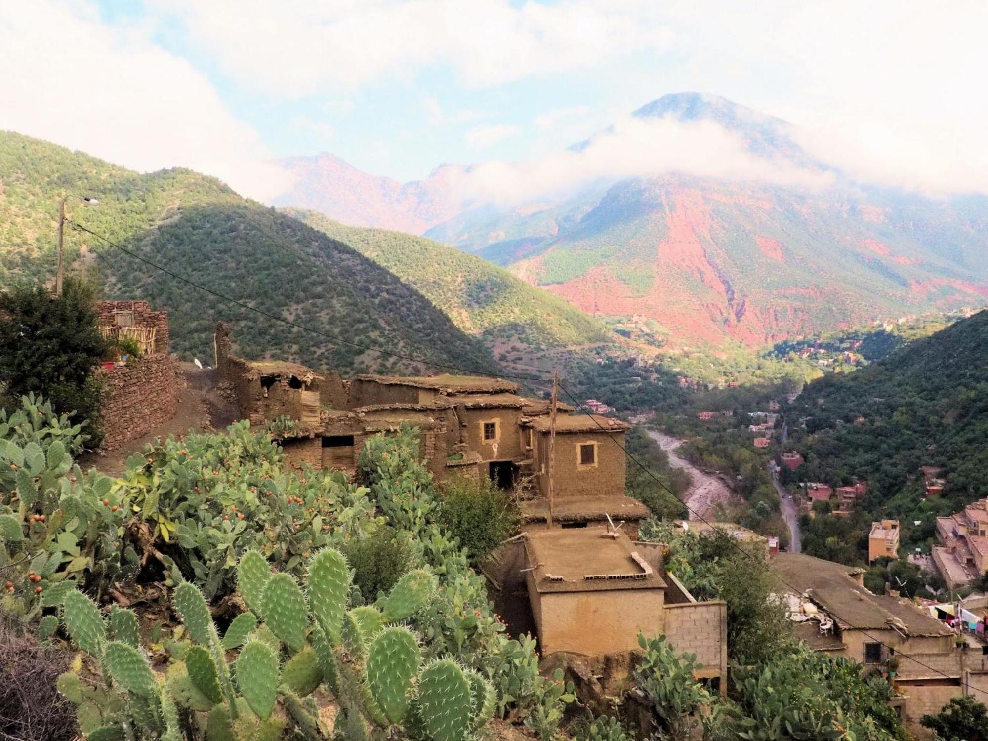 Chez Yahia, Au Coeur De L'Ourika Hotell Eksteriør bilde
