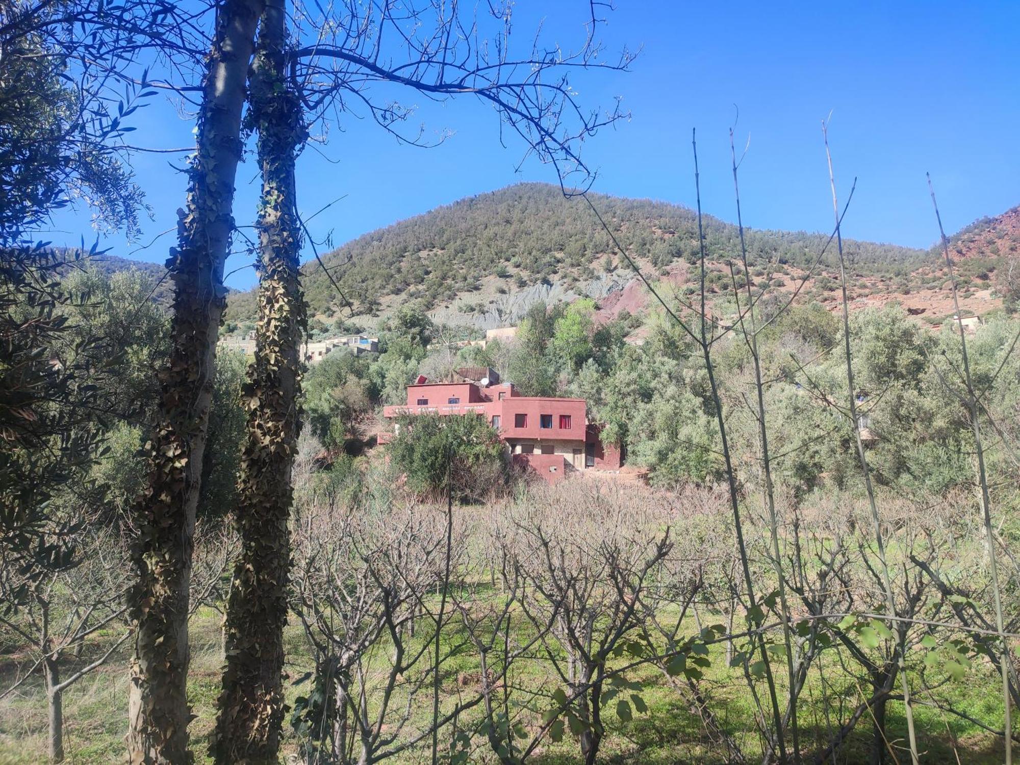 Chez Yahia, Au Coeur De L'Ourika Hotell Eksteriør bilde
