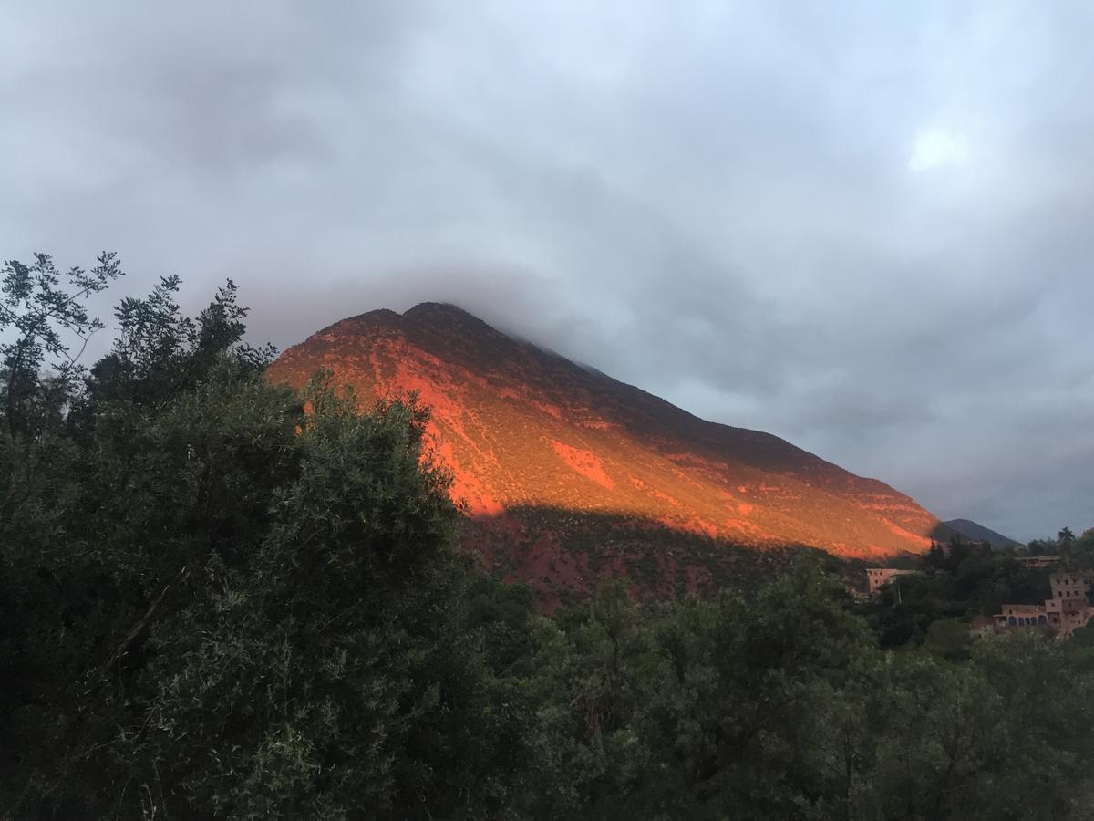 Chez Yahia, Au Coeur De L'Ourika Hotell Eksteriør bilde