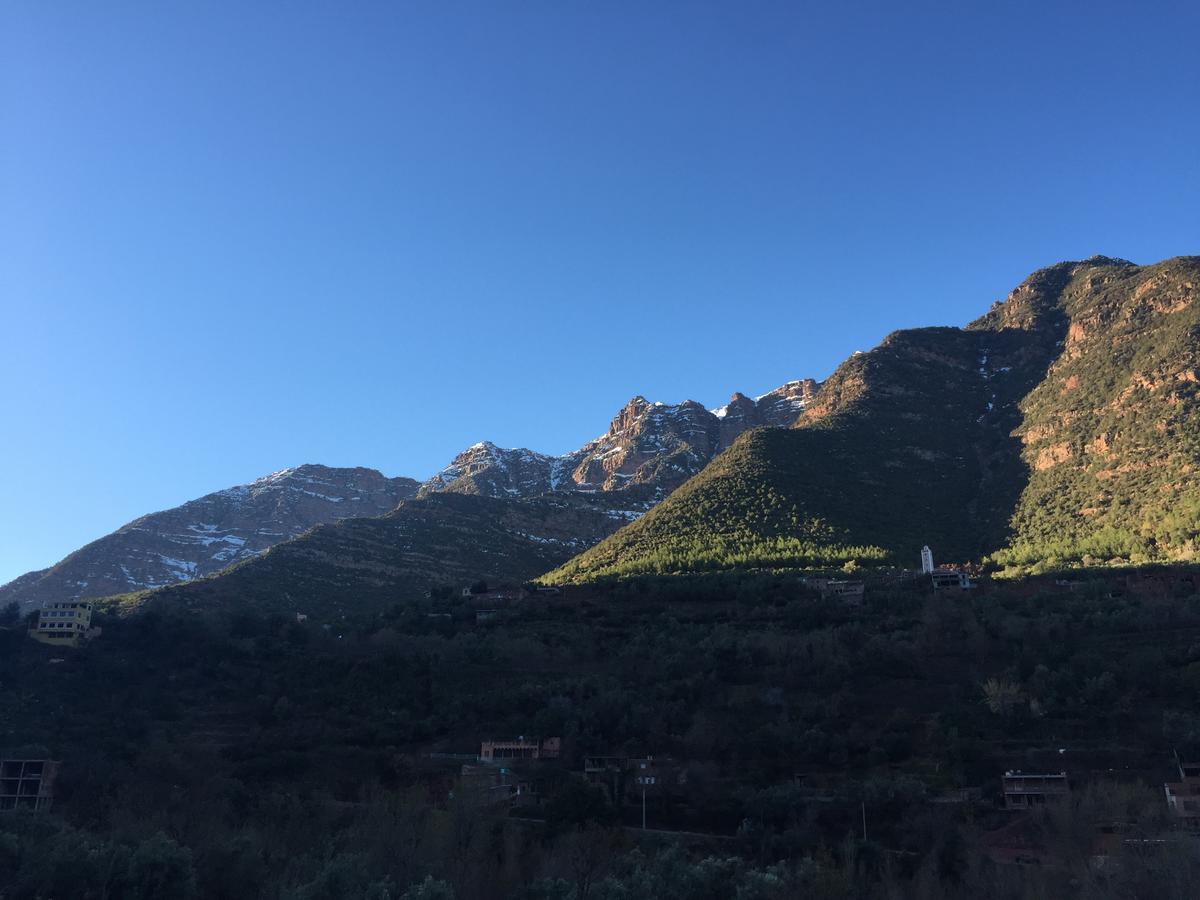 Chez Yahia, Au Coeur De L'Ourika Hotell Eksteriør bilde