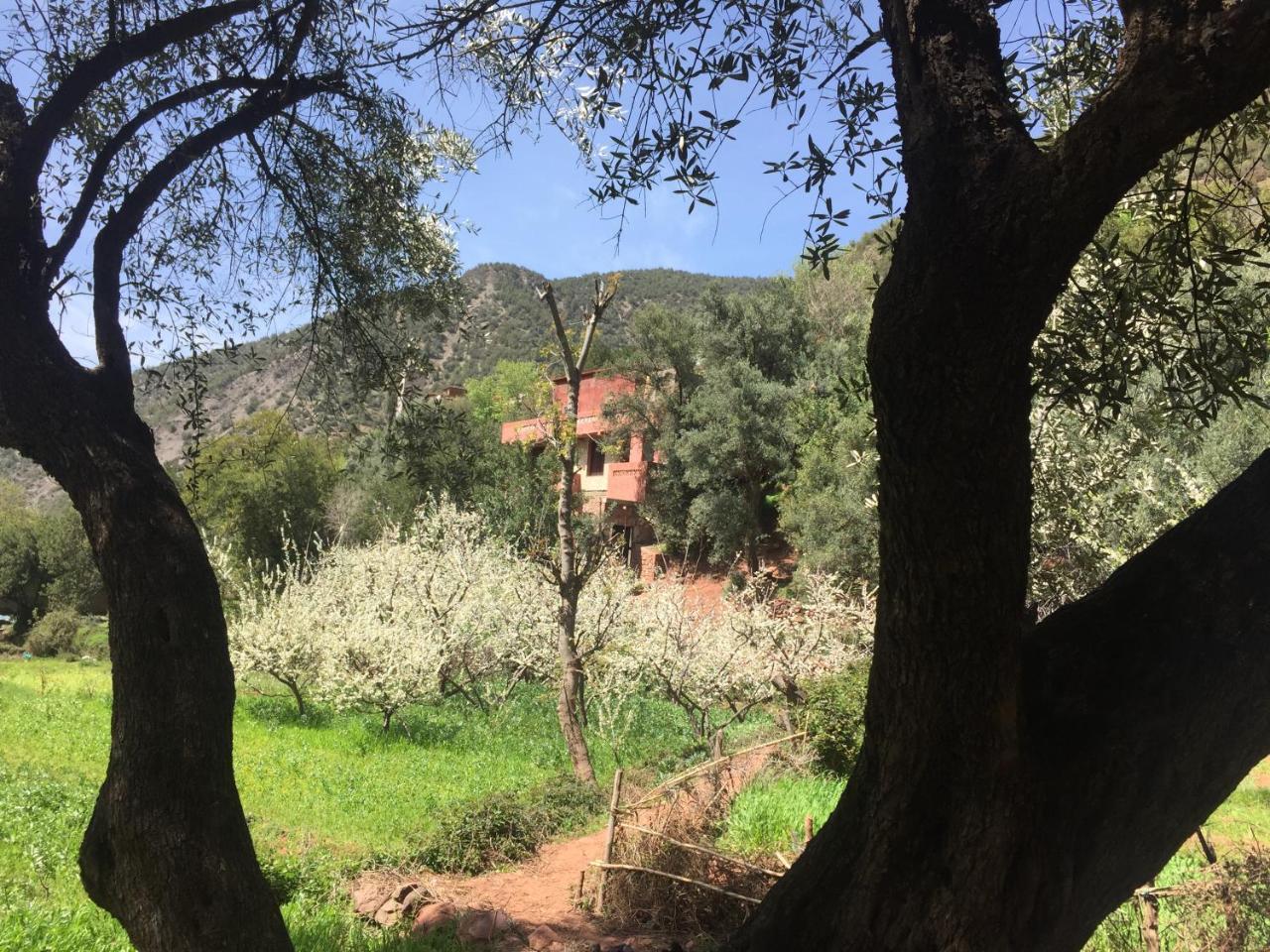 Chez Yahia, Au Coeur De L'Ourika Hotell Eksteriør bilde